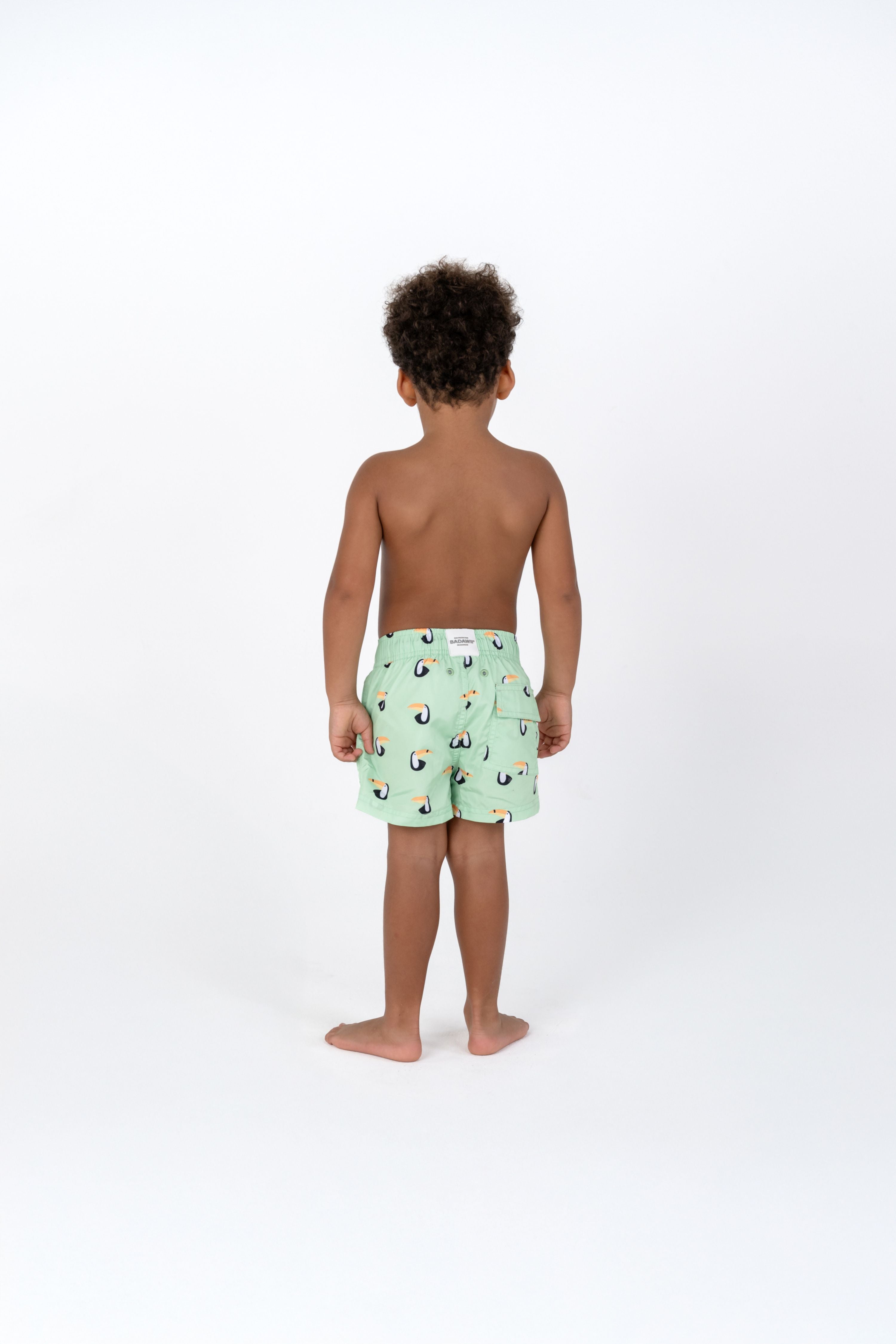 BOY SWIM SHORTS - Toucan Paradise