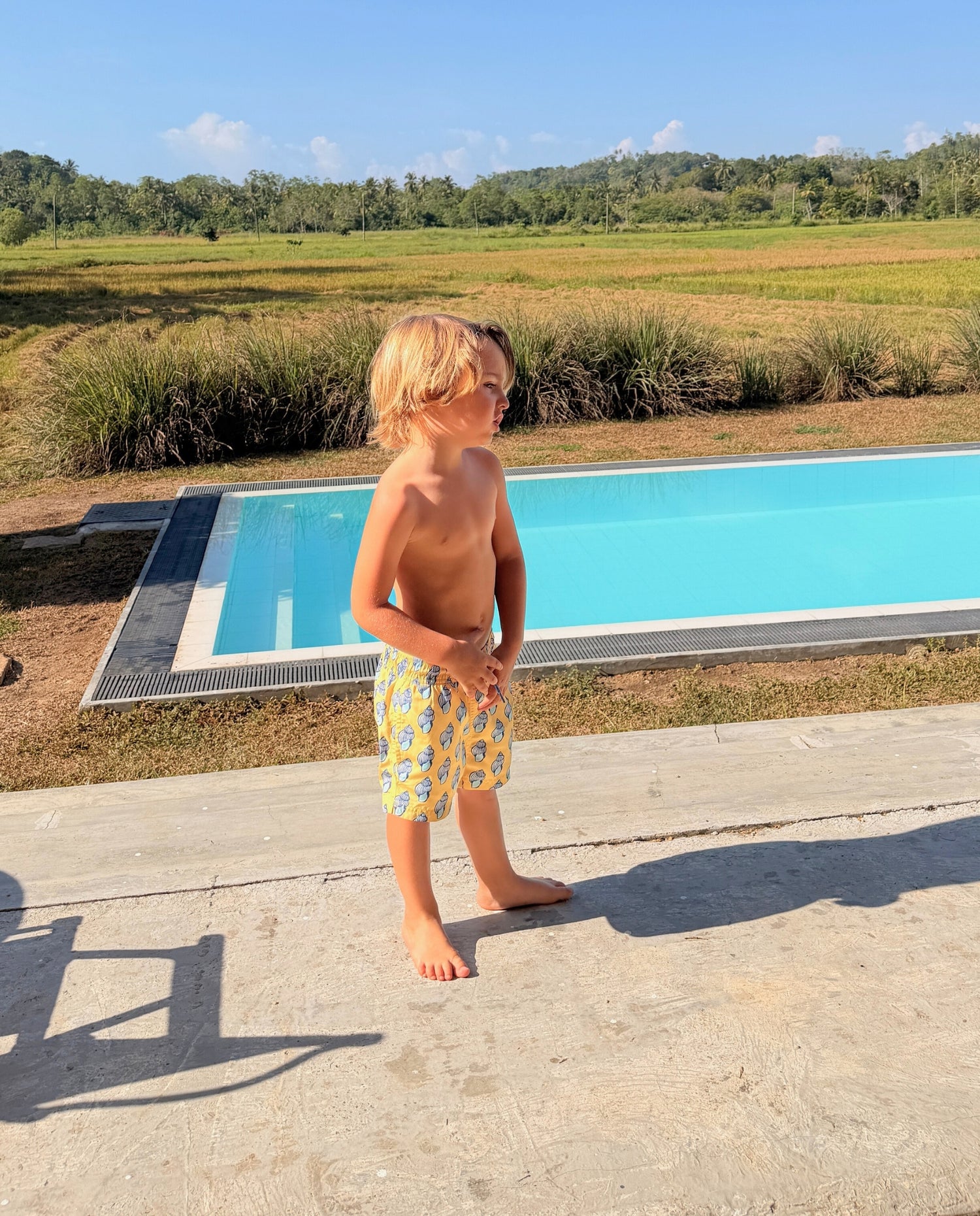 BOY SWIM SHORT - Sunny Shells