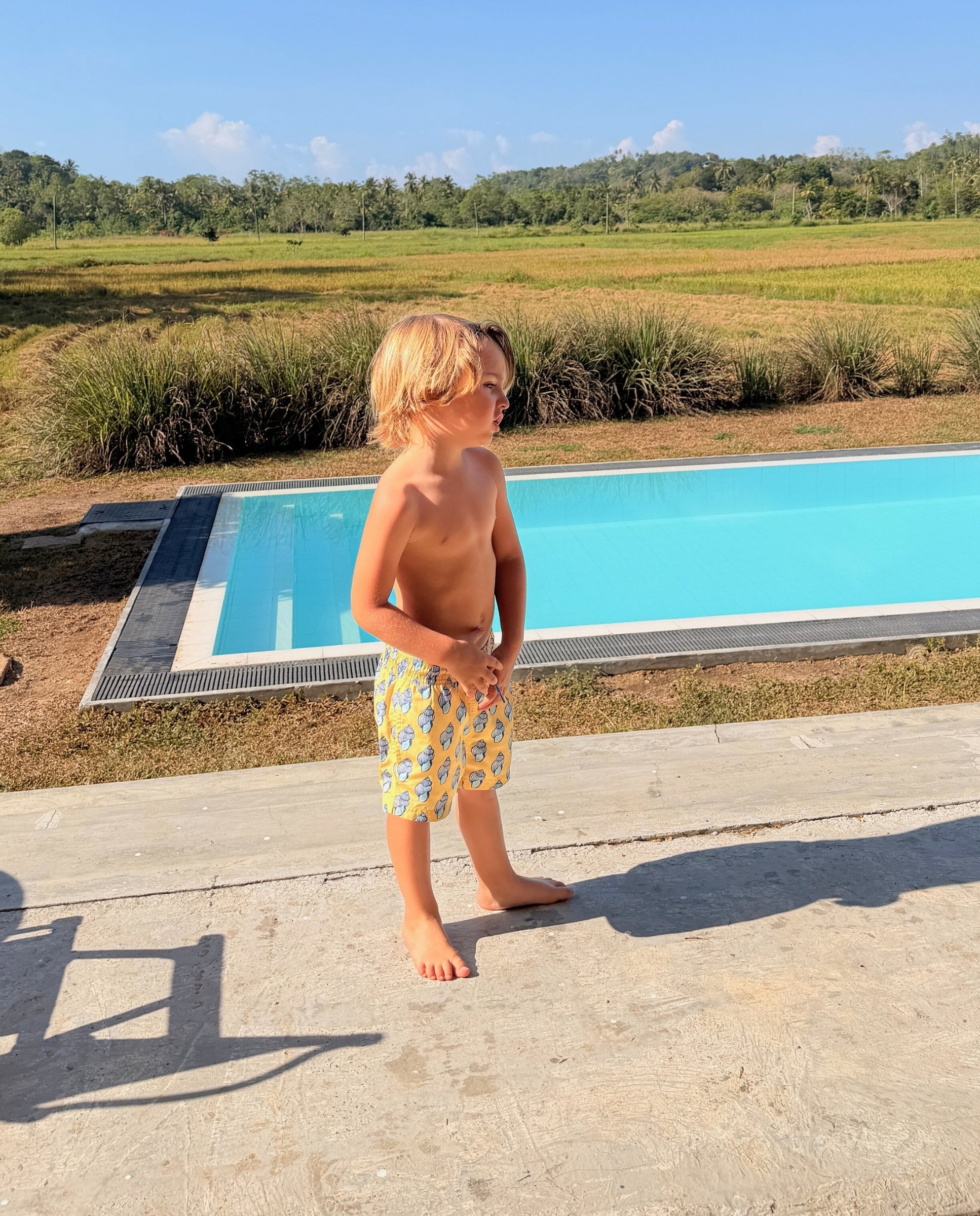 BOY SWIM SHORT - Sunny Shells