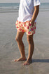 Boys Swim Shorts - Beach Shells - Badawii UAE